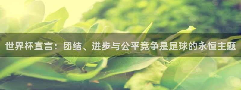 世界杯预选赛赛程表：世界杯宣言：团结、进步与公平竞争是足球的永恒主题