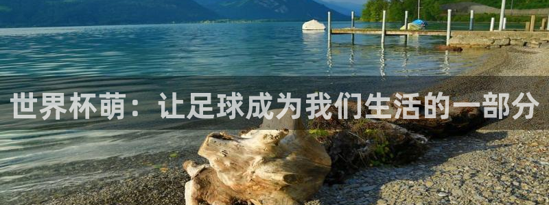 世界杯预选赛欧洲赛区积分榜：世界杯萌：让足球成为我们生活的一部分