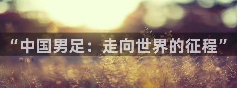 世界杯足球2026：“中国男足：走向世界的征程”