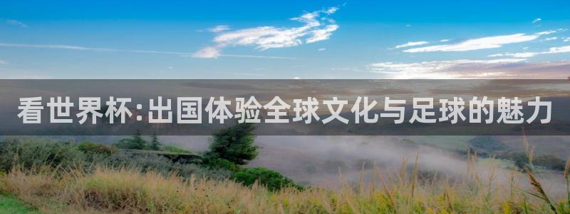 今天所有足球赛程表：看世界杯:出国体验全球文化与足球的魅力