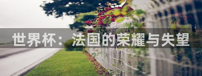 世预赛欧洲赛程表：世界杯：法国的荣耀与失望