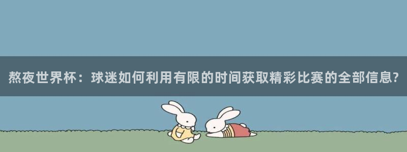 预选赛世界杯：熬夜世界杯：球迷如何利用有限的时间获取精彩比赛的全部信息?