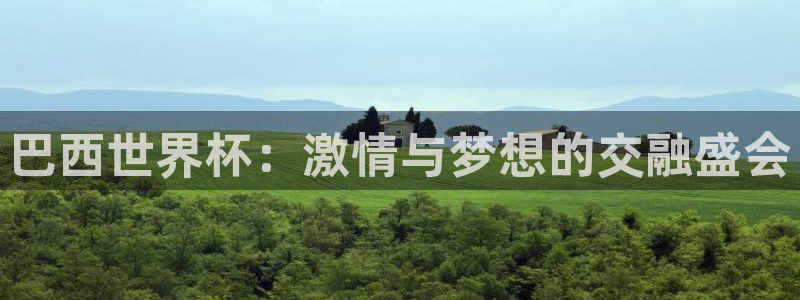 足球世预赛：巴西世界杯：激情与梦想的交融盛会