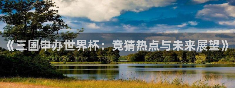 中国 世界杯：《三国申办世界杯：竞猜热点与未来展望》