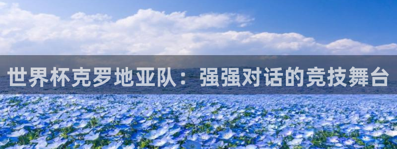 澳门世界杯直播：世界杯克罗地亚队：强强对话的竞技舞台