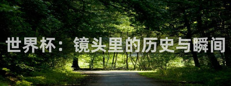 世界杯附加赛赛程表：世界杯：镜头里的历史与瞬间