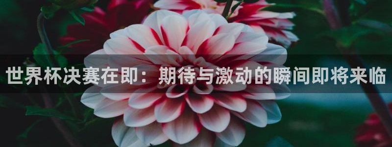 足球世界杯赛程：世界杯决赛在即：期待与激动的瞬间即将来临