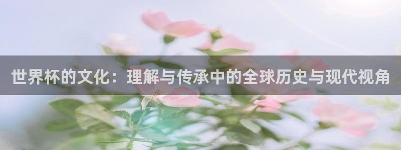 世界杯预选赛欧洲：世界杯的文化：理解与传承中的全球历史与现代视角