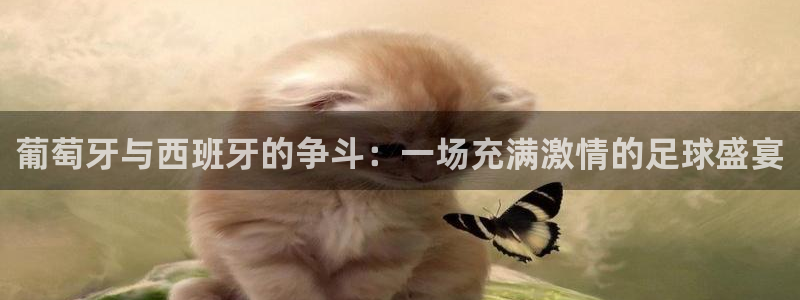 世界杯比赛时间：葡萄牙与西班牙的争斗：一场充满激情的足球盛宴