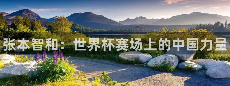 联赛杯直播：张本智和：世界杯赛场上的中国力量