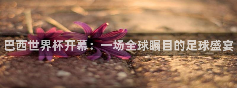 世界杯直播平台：巴西世界杯开幕：一场全球瞩目的足球盛宴
