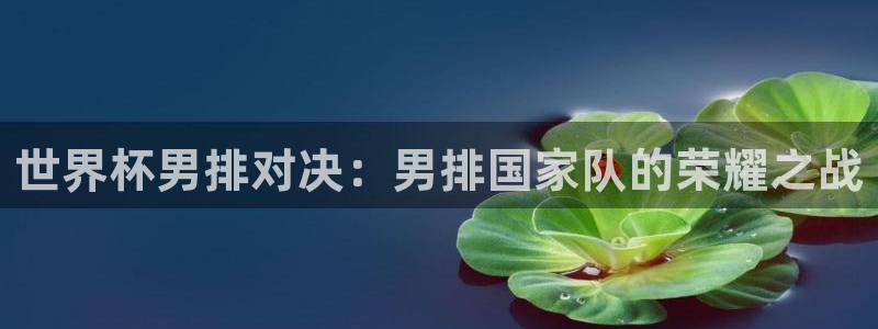 世界杯亚洲区预选赛：世界杯男排对决：男排国家队的荣耀之战